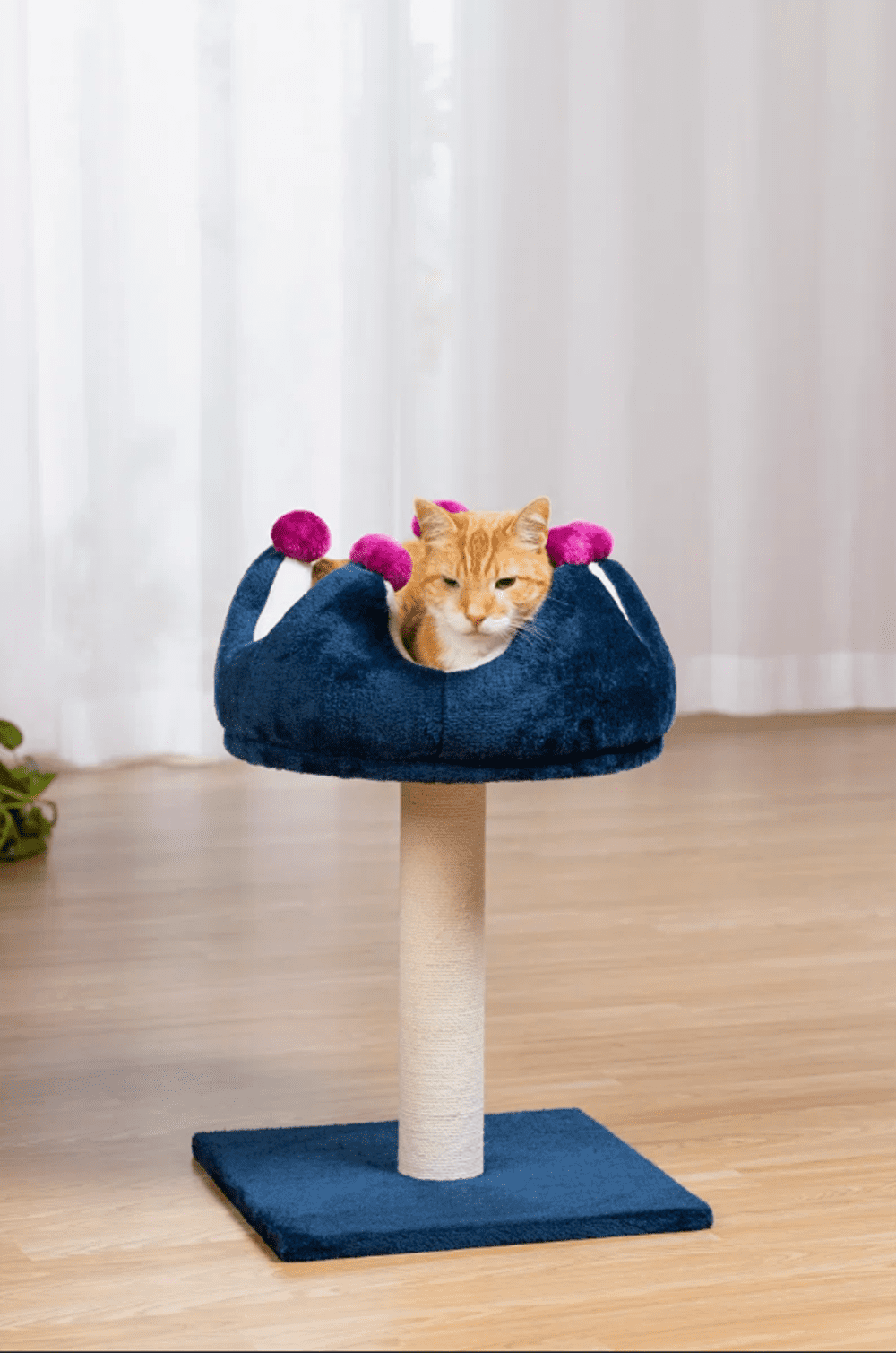 Prevue Pet Kitty Royal Purple Accent Bed with Scratching Post, for Cats