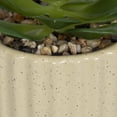 thumbnail image 3 of hometrends Cozby Faux Succulent in Tan Pot, 3 of 5
