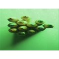 thumbnail image 1 of Ahgly Company Machine Washable Indoor Rectangle Transitional Green Area Rugs, 5' x 7', 1 of 7