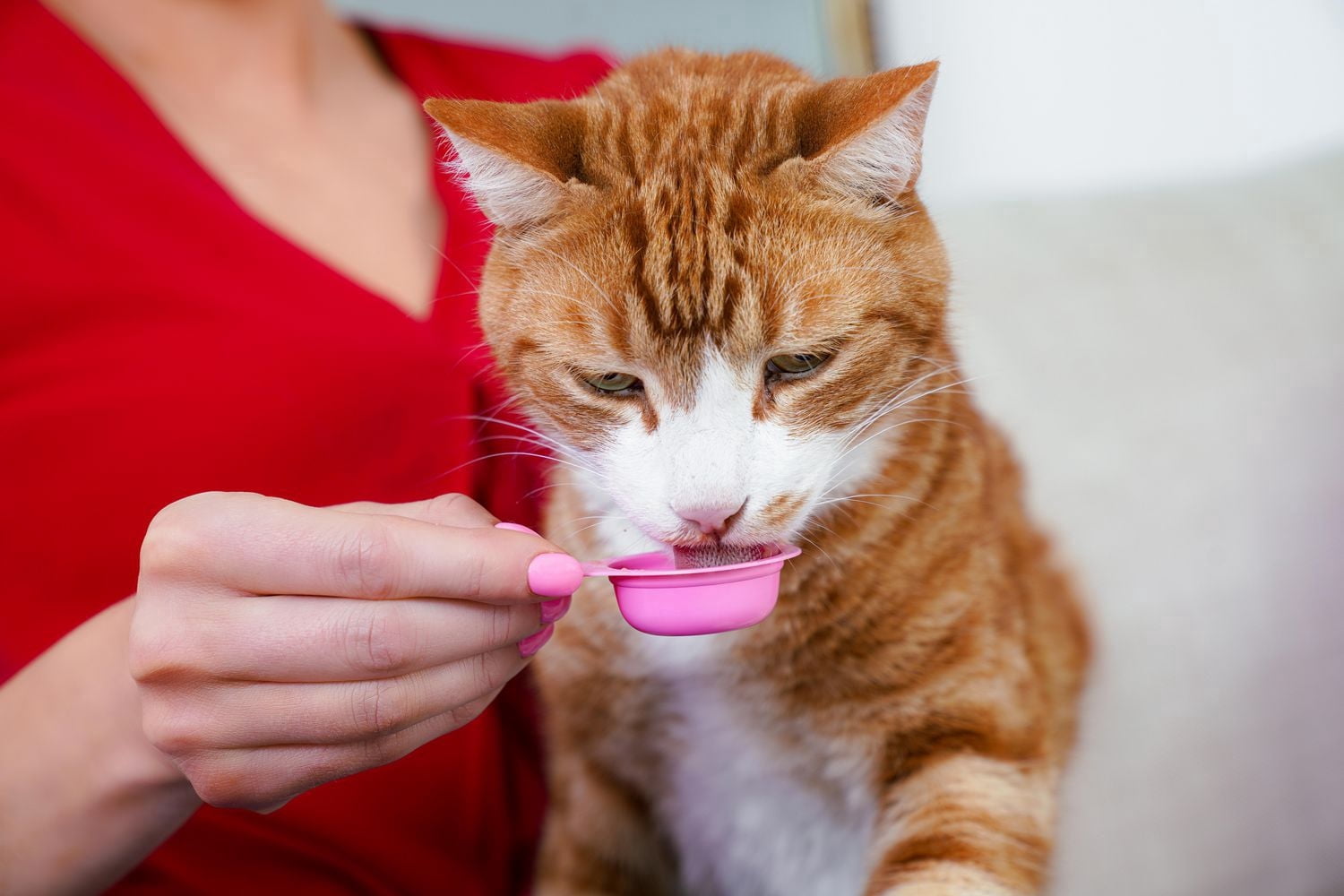 Delectables Cuillère à Lécher Poulet et Saumon Gâterie Humide pour Chat Lot de 20