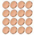 thumbnail image 1 of Unique Bargains 16Pack 86mm/3.39' Wide Mouth Tin Plate Mason Jar Lids for Canning Jars, Rose Gold, 1 of 6