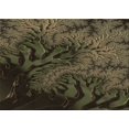 thumbnail image 1 of Ahgly Tapis Rectangulaire Lavable en Machine Intérieur Transitionnel Chêne Brun, 2 Pieds x 3 Pieds, 1 of 7