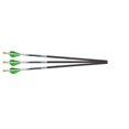 thumbnail image 1 of Excalibur PROFLIGHT Flèches Lumenok de 18 Po, Lot de 3, 1 of 1