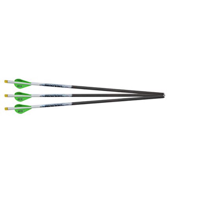 Excalibur PROFLIGHT 18 Po Lumenok Arrows, Lot de 3, avec Arbres en Carbone Durables avec fletching Vert et Blanc et Bas Illuminés. Conçu pour Être Utilisé avec les Arbalètes Excalibur Crossbow 22EXP18IL-3, Idéal pour les Passionnés de Chasse et de Tir à l'Arc.