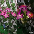 thumbnail image 3 of TIMIFIS Decorative Lights Solar Flower Lights Outdoor, Solar Flowers Garden Decorative Lights LED Stake Lights Auto On/Off Bright up to 8 Hrs Lighting & Ceiling, 3 of 5