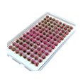 thumbnail image 2 of jifeng Artificial DIY Miniature Flower Cluster Grass Tufts Diorama Layout Scenery Model Pink, 2 of 9