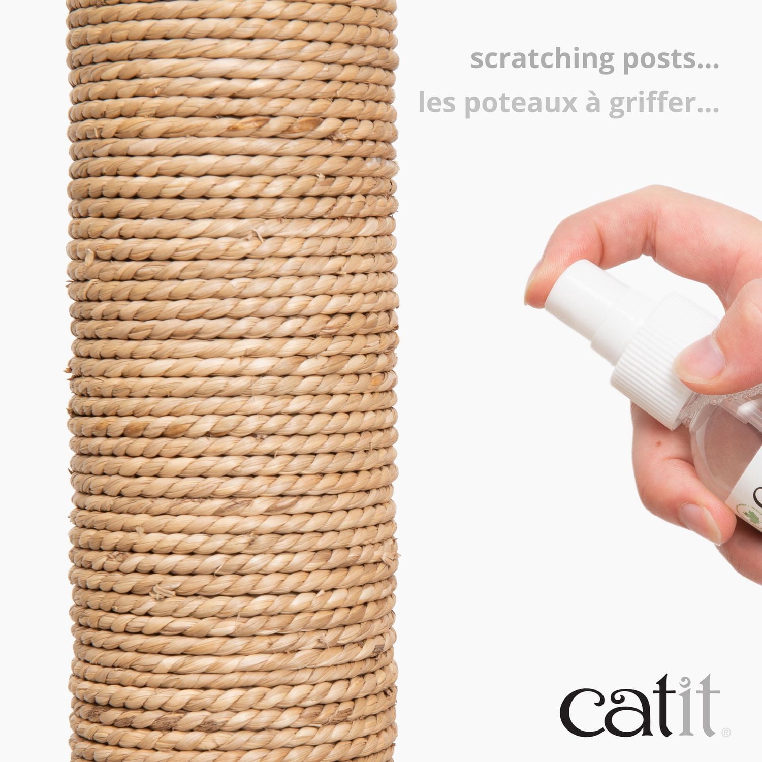 Catit Vaporisateur d'Herbe à Chat pour Chats, 60mL
