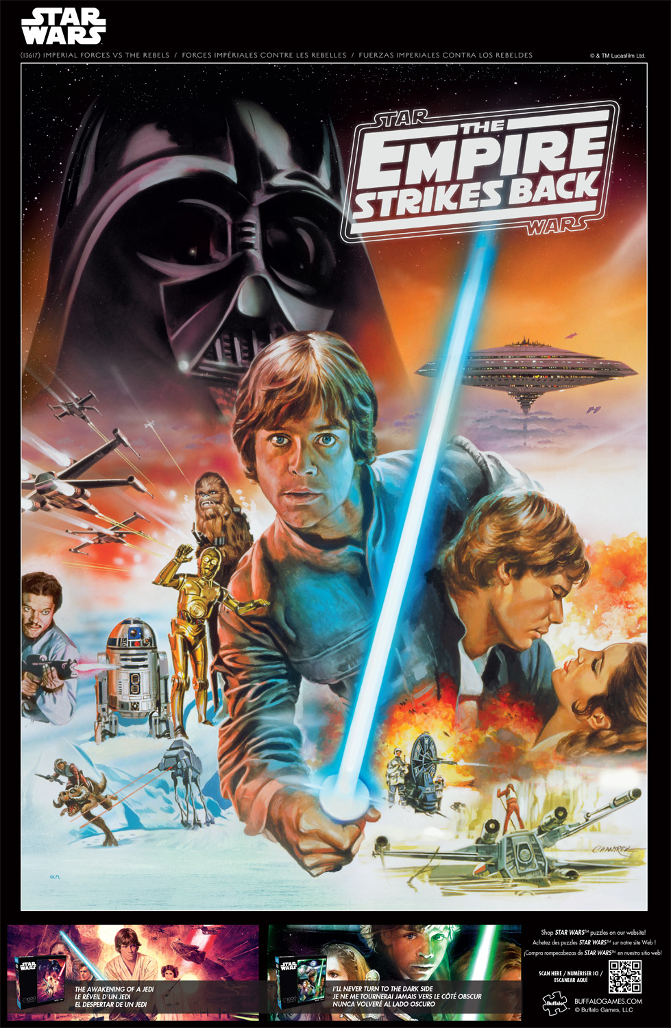 Buffalo Games Le puzzle Star Wars Imperial Forces - en 1000 pièces