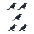 thumbnail image 2 of kurtrusly Horror Props For Halloween - High Simulation Black Crow Ornament For Festive Straight crow 5Set, 2 of 6