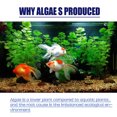 thumbnail image 4 of jinnoda Aquarium Algaecide Water Algae Control Fish Tank Moss Remover Cleaning Tool, 4 of 9
