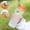 Orange, variant on Sports Water Bottle, EDHITNR Large Capacity 550ml Portable Shaker Cup, Leak-Proof BPA-Free Plastic Protein Shaker with Measurement Marks for Gym Outdoor, White