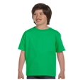 thumbnail image 1 of Gildan Big Boys Dryblend Preshrunk 3/4 Inch Collar T-Shirt, Style G8000B, 1 of 1
