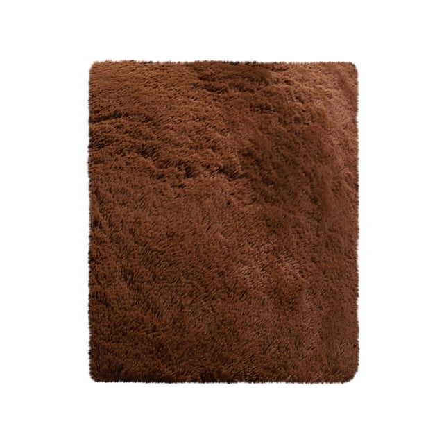 High Pile Soft Area Rug Non Slip Living Room Carpet Plush Floor Mat for Bedroom Dining Room Home Decor 50x80cm