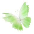 thumbnail image 1 of KLKCMS Artificial Gauze Butterfly with Standing Base Crafts Fake Wedding Decoration Green, 1 of 9