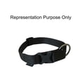 thumbnail image 3 of Zeus Adjustable Nylon Dog Collar, Small, 3 of 3