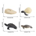 thumbnail image 3 of Plastic Animals Figures 4 Piece Insect Figure Animal Life Cycle Plastic Brood to Mature Period, 3 of 3