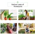 thumbnail image 4 of 10-Pack 10CM Plastic Plant Nursery Pots Seedling Flower Plant Container and Seed Starting Pots, 4 of 6
