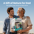 thumbnail image 2 of Birdfy Smart Bird Houses for Outside Solar Powered, 1080P HD Live View Bird House with Camera, Perfect Viewing Bird Nesting and Hatching, Bird Feeder with Camera for Most Birds, 2 of 10