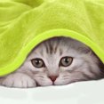 thumbnail image 4 of PiccoCasa Flannel Fleece Blanket Soft Warm Wide Hemmed Green Yellow Queen, 4 of 10
