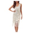 thumbnail image 1 of Birdeem Robe pour Femmes de Printemps et d'Été à Col Rond Sans Manches avec Paillettes et Franges en Forme de Boule, Robe de Fête, Banquet, Danse, Robe Courte, 1 of 5