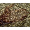 thumbnail image 4 of oneOone Silk Tabby Fabric Floral Texture Print Sewing Fabric BTY 42 Inch Wide, 4 of 4