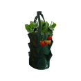 thumbnail image 3 of Sac Suspendu de Culture pour Fraises de Jardin, Pot de Racines, Pochette, Contenant, 3 of 6