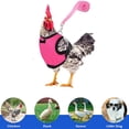 thumbnail image 4 of Chicken Leash Pet Chicken Leash Pet Leash, 4 of 4