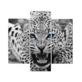 thumbnail image 4 of 5 Panels No Frame Leopard Oil Picture Canvas Print Poster HD Print Poster Wall Painting Frameless Restaurant Decorative Oil Drawing, 4 of 6