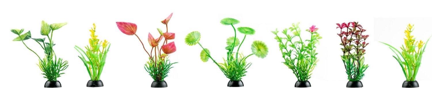 Penn-Plax Aqua-Plantes D'Aquarium Décorations