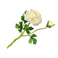 thumbnail image 2 of Baohd 2-head Artificial Camellia Bouquet Simulation Flower Table Centerpiece artificial Floral Decor, Creamy White, 2 of 7