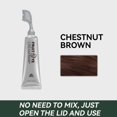 thumbnail image 1 of Xusheng Plant-Based Hair Color Cream in Chestnut Brown - Ready-to-Use, No Mixing Needed for Gray Coverage & Root Touch-Ups, Versatile Temporary/Permanent Formula, Special Purpose Cosmetic for, 1 of 6