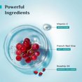 thumbnail image 3 of Pilgrim Red Vine Youthful Glow Moisturizer, 50gm, 3 of 5