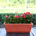 thumbnail image 5 of 4PCS Window Box Planter with Drainage Holes & Matching Saucers,17 Inch Plastic Rectangular Flower Pot for Vegetables Herbs Flower for Indoor Outdoor Garden Decor Patio Balcony Windowsill Deck Railing, 5 of 5