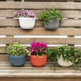 thumbnail image 3 of Pot de Plante Suspendu au Mur en Rotin Imitation, Panier de Clôture Semi-Circulaire en Résine pour Balcon, Jardin, Intérieur, 3 of 7
