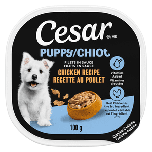 CESAR Puppy Soft Wet Dog Food Filets in Sauce Chicken Recipe, 100 g Easy Peel Tray