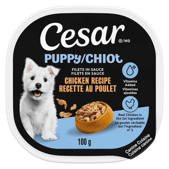 CESAR Puppy Soft Wet Dog Food Filets in Sauce Chicken Recipe, (24) 100 g Easy Peel Trays