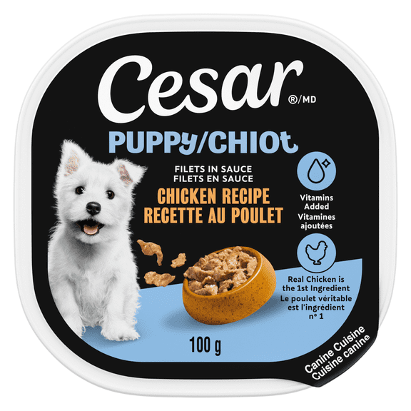 Nourriture humide et moelleuse pour chiots CESAR Filets en sauce Recette au poulet, barquette de 100 g faciles à ouvrir