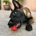 thumbnail image 4 of Jouets pour chiens balle à rapporter et à briller, 4 of 4