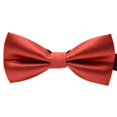 thumbnail image 1 of fastboy Cravate Formelle à Motif Coloré pour Hommes Adulte Homme Affaires Réunion Mariage Fil Polyester Nœud Papillon, 1 of 9