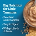 thumbnail image 3 of GERBER Stage 3 Wheat Biscuit Baby Cereal, 3 of 7