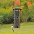 thumbnail image 4 of Perky-Pet Squirrel Stumper Wild Bird Feeder, 4 of 7