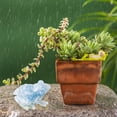 thumbnail image 3 of Birdeem Fish Tank Decorations, Garden Decorations Outdoor, Garden Ornaments Frogs for Garden Decor Fish Tank Decorations, Fish Tank Light, Outdoor Garden Decor, Frog Garden Decor, 3 of 6