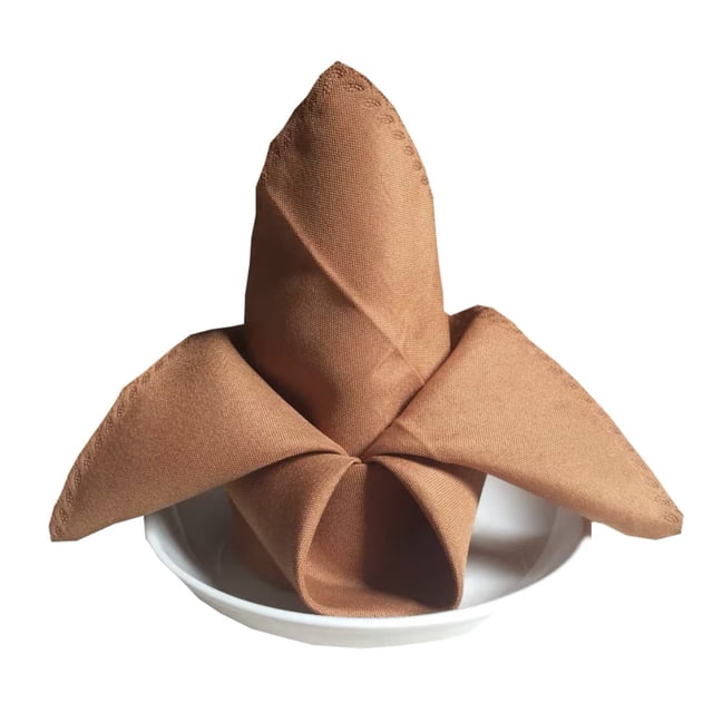 Napkins Cloth Washable, Brown Cloth Napkins, 18.9x18.9Inch Soft Cotton Dinner Napkins Cloth, Rustic Table Napkins, 6Pcs Reusable Table Napkin with Hemmed Edges