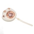 thumbnail image 1 of Hand Warmer, Rechargeable Hand Warmer Cat Paw 5V 1A Multipurpose 1S Quick Heat  For Office, 1 of 8