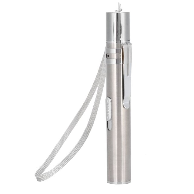 Jouet Interactif d'Entraînement pour Animaux de Compagnie Rechargeable en Acier Inoxydable Pointeur de Stylo de Chat Rouge / Taquinage