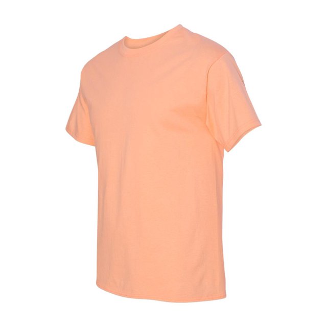 Hanes Men's Authentic-T T-Shirt - 5250T (Pack Of 3)