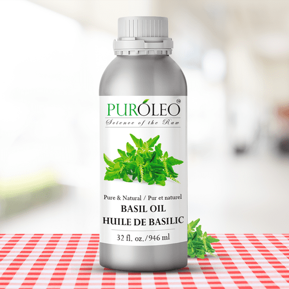 PUROLEO Basil Essential Oil 32 Fl Oz/946 ML (Packed In Canada) 100% Pure, Natural and Undiluted Aromatherapy Oil for Diffuser, Massage and Skin Care - Uplifting and Refreshing Scent for Relaxation