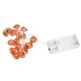 thumbnail image 2 of String Light, Halloween Light 20LED Lumière Chaude pour Intérieur pour Jardin pour Extérieur, 2 of 8