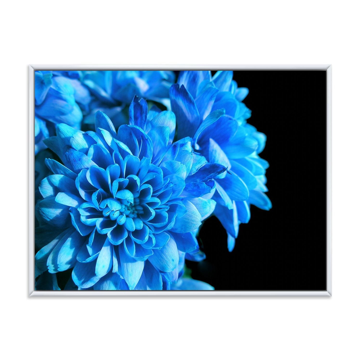 Designart Détail de fleurs bleues sur noir I ART MURAL À CADRE FLOTTÉ