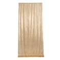 thumbnail image 1 of LNGOOR Sequin Curtain - Solid Color - Shiny Long Glitter - Foldable - Party Decoration - Easy Installation - Wedding Party Sequin Panel - Party Favors, 1 of 8